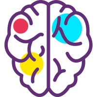 brain_914907